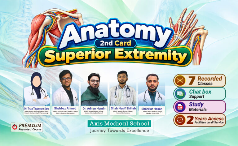 Anatomy- 2nd card-Superior Extremity