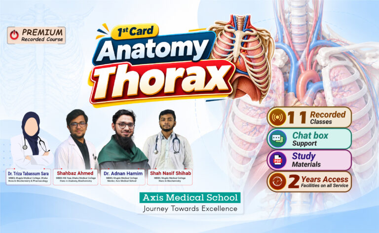 Anatomy- 1st Card- Thorax