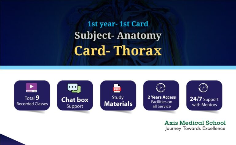 Anatomy- 1st Card- Thorax