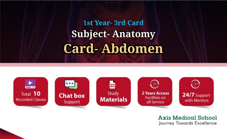 Anatomy- 3rd Card- Abdomen