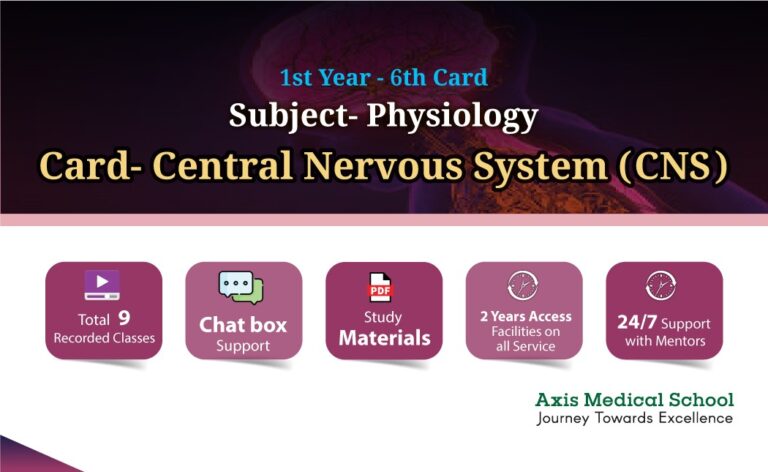 Physiology- 6th Card- Central Nervous System (CNS)