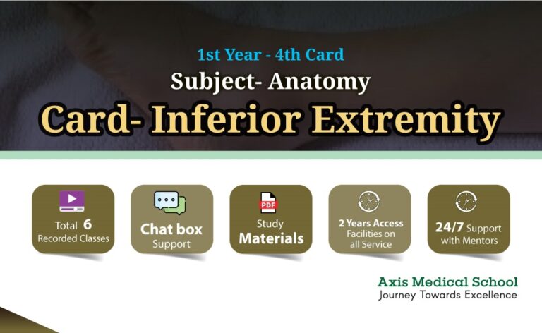 Anatomy- 4th Card- Inferior Extremity