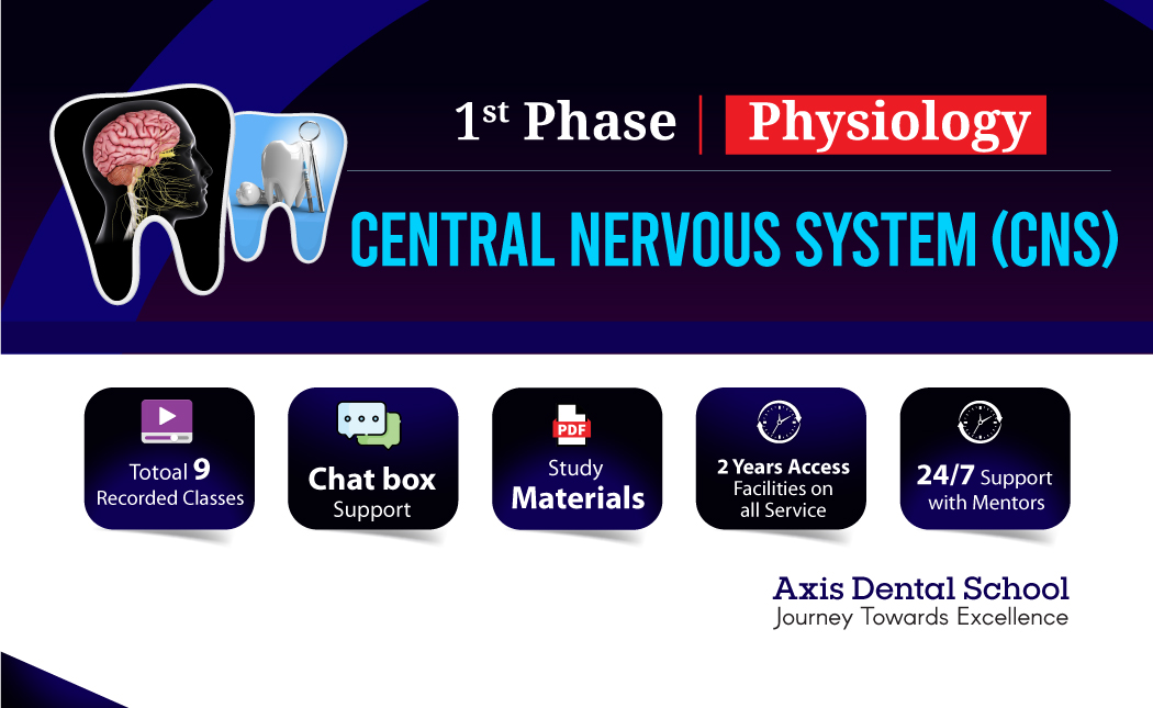 Central-Nervous-System-(CNS)