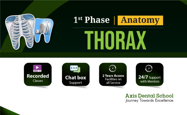 Anatomy- Thorax (Dental)