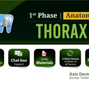 Thorax (Dental)