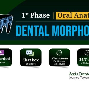 Dental Morphology